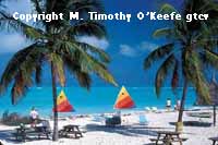 Bahamas Beach Treasure Cay  ww.GTCV.com copyright M. Timothy O'Keefe